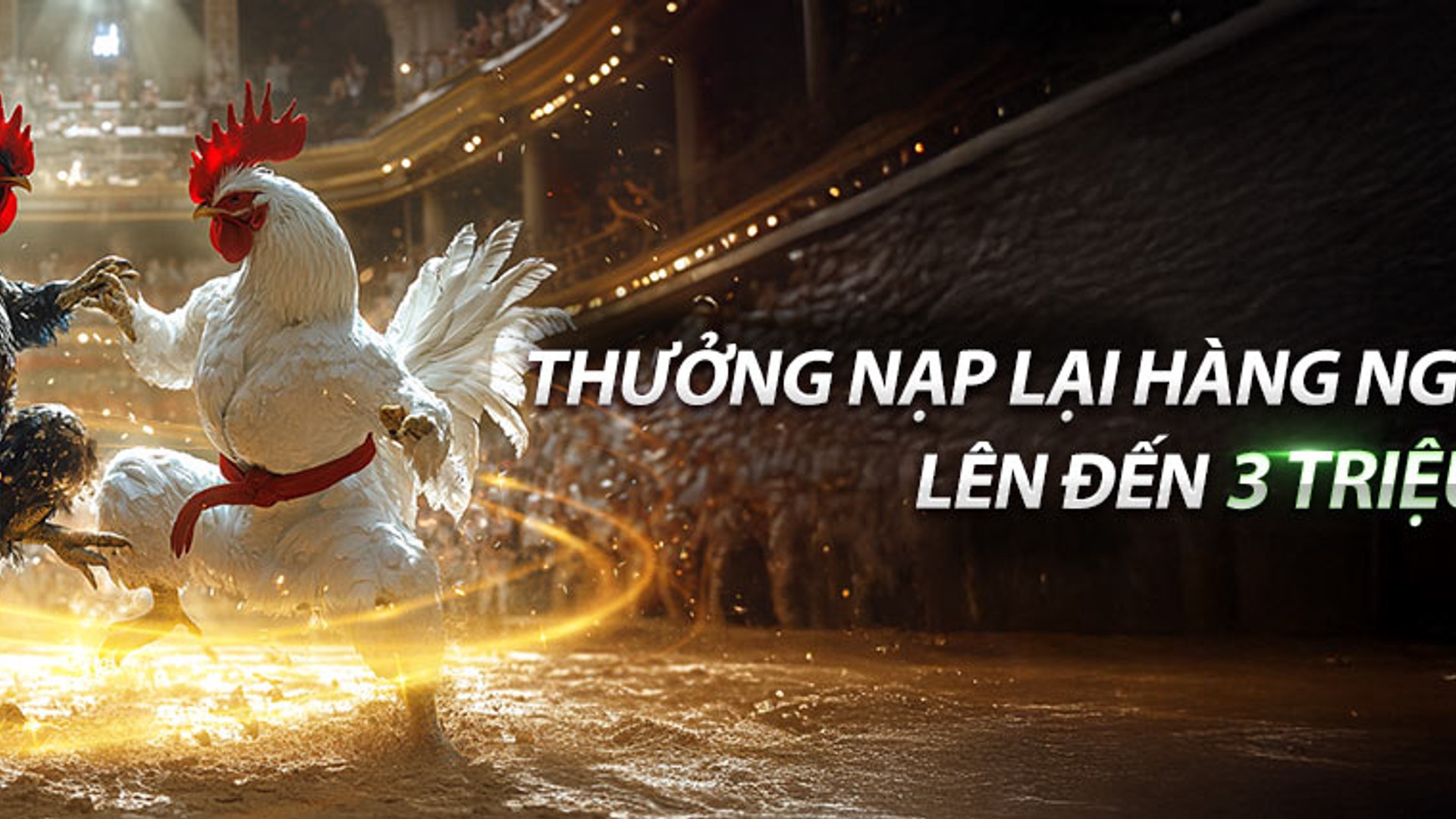 Hình ảnh minh họa hoàn trả hàng ngày tai88vin